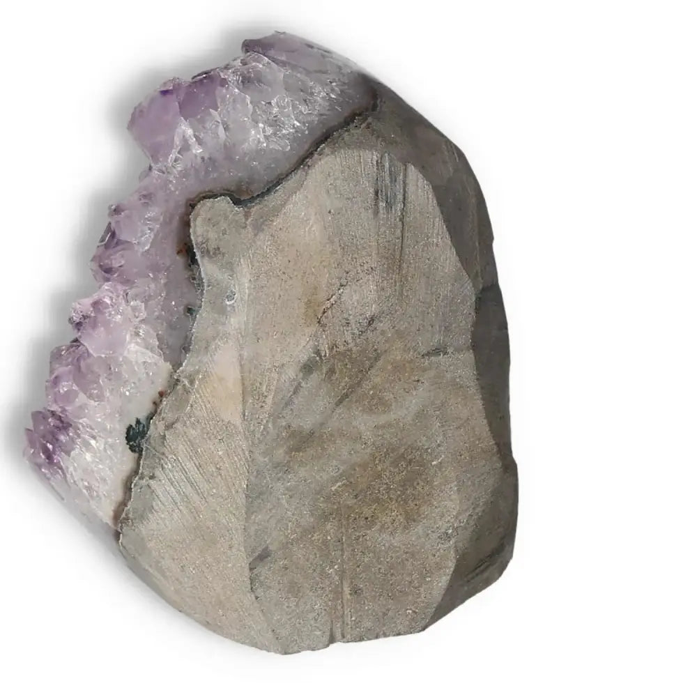 orbitvu|type:image2d