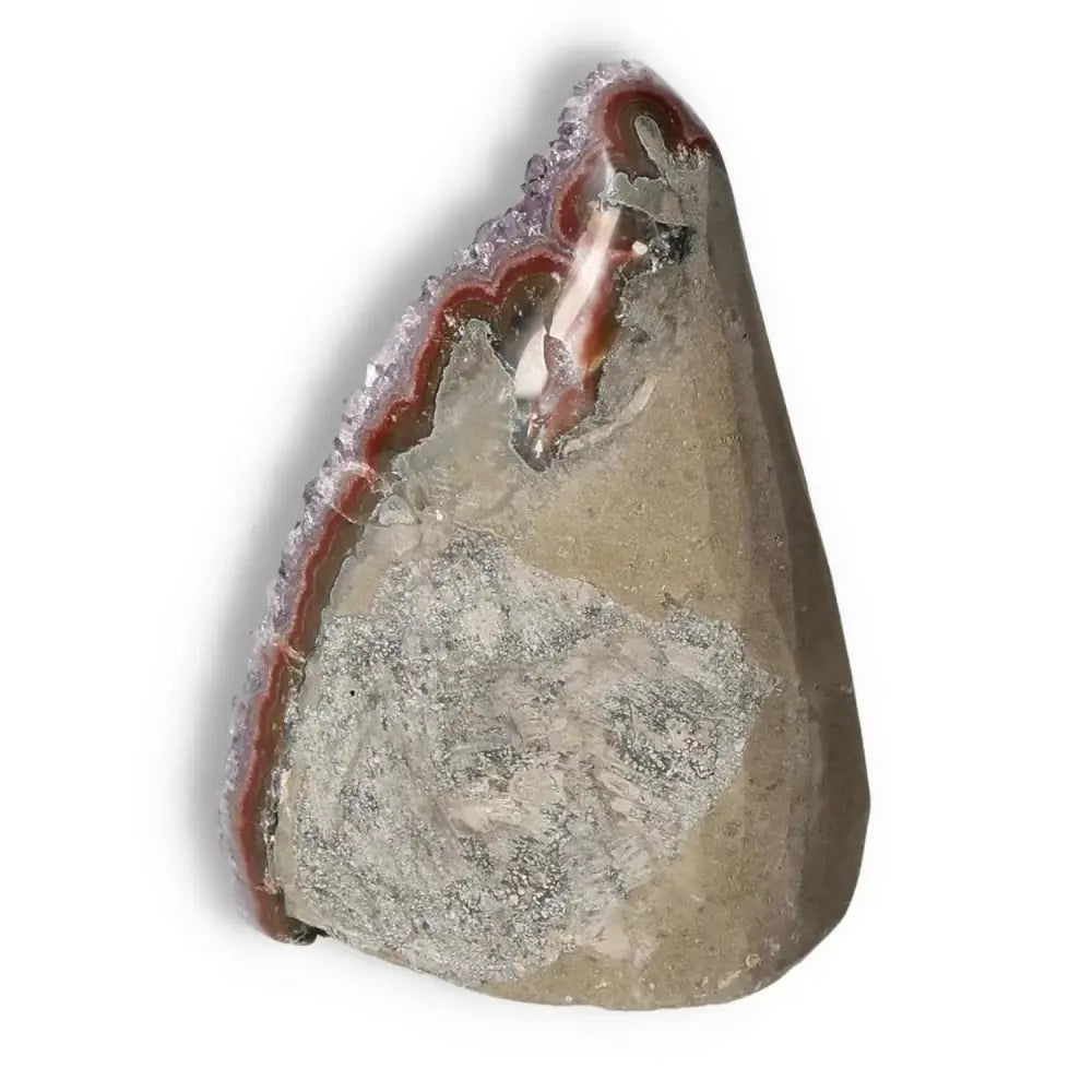 orbitvu|type:image2d