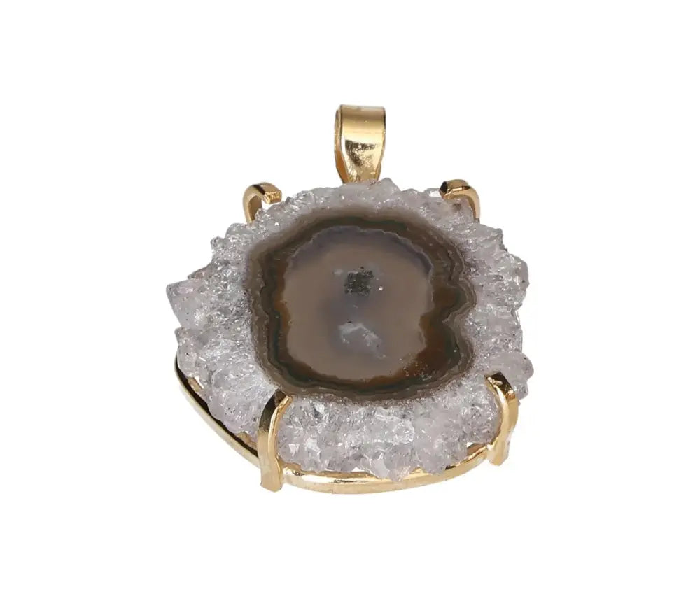 orbitvu|type:image2d