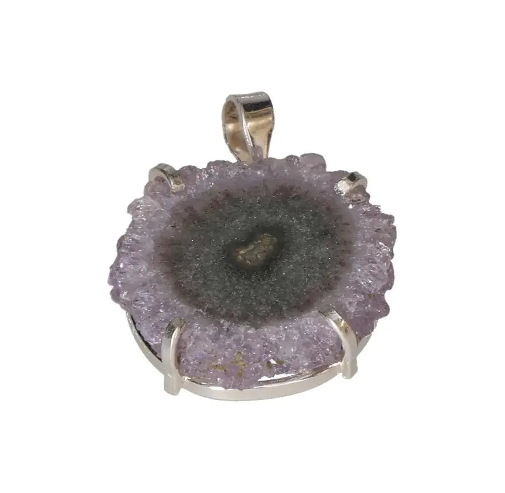 orbitvu|type:image2d