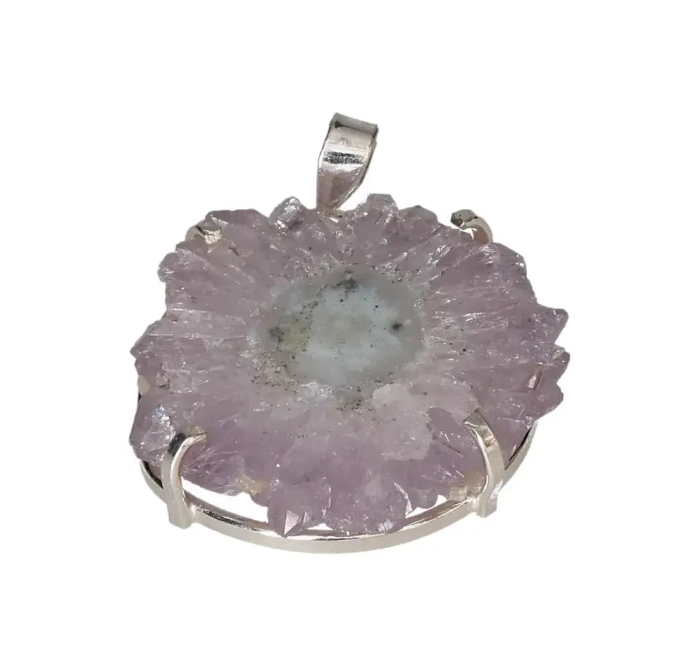 orbitvu|type:image2d