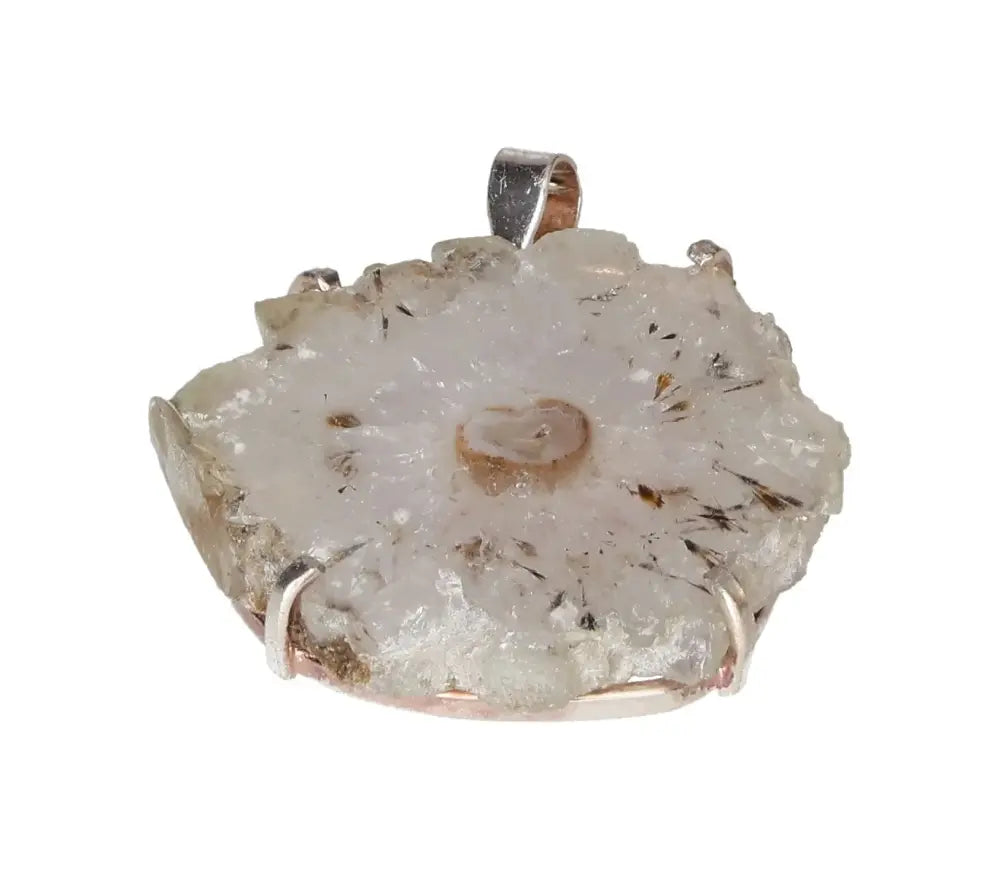 orbitvu|type:image2d