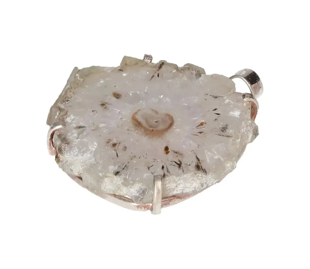 orbitvu|type:image2d