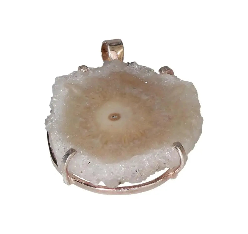 orbitvu|type:image2d