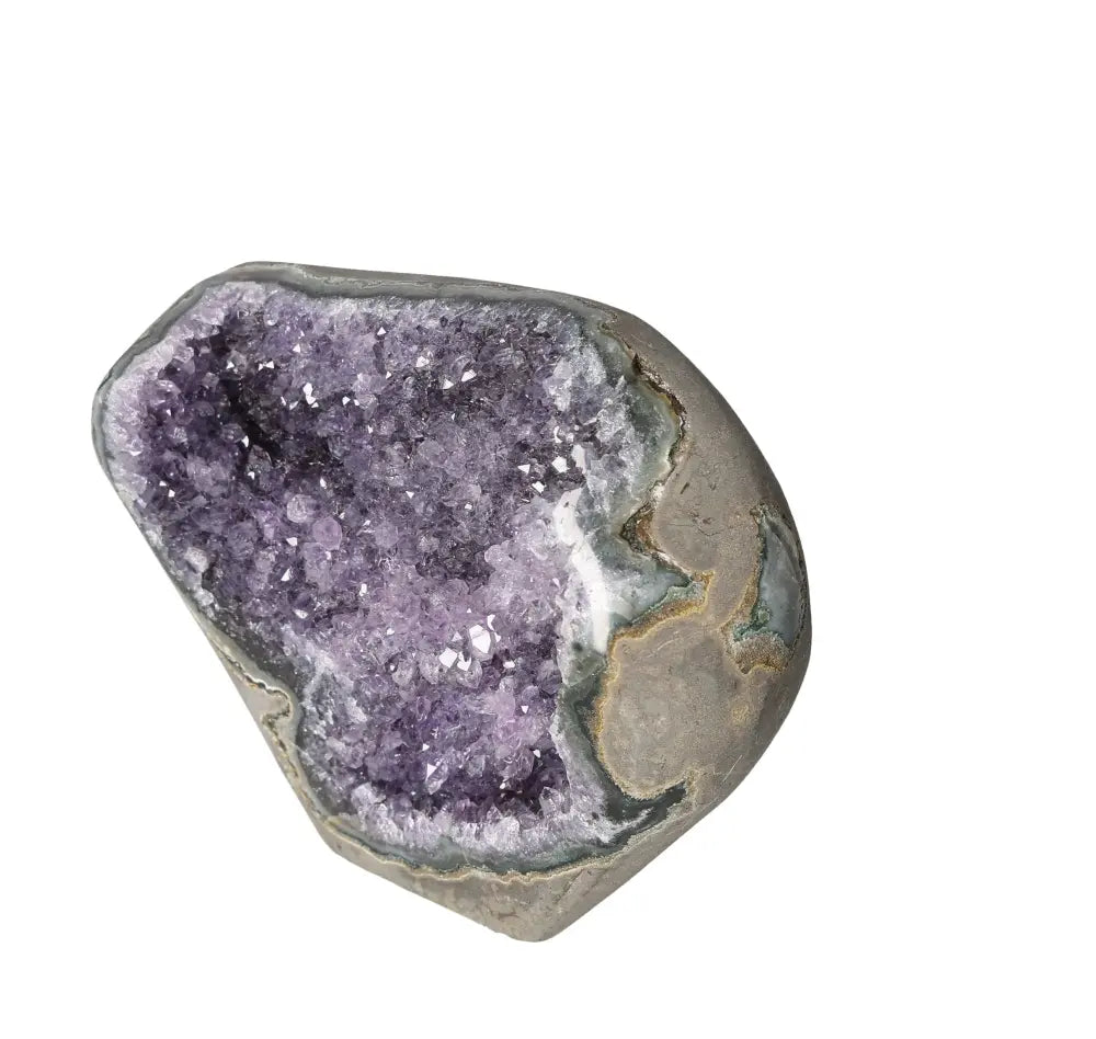 orbitvu|type:image2d