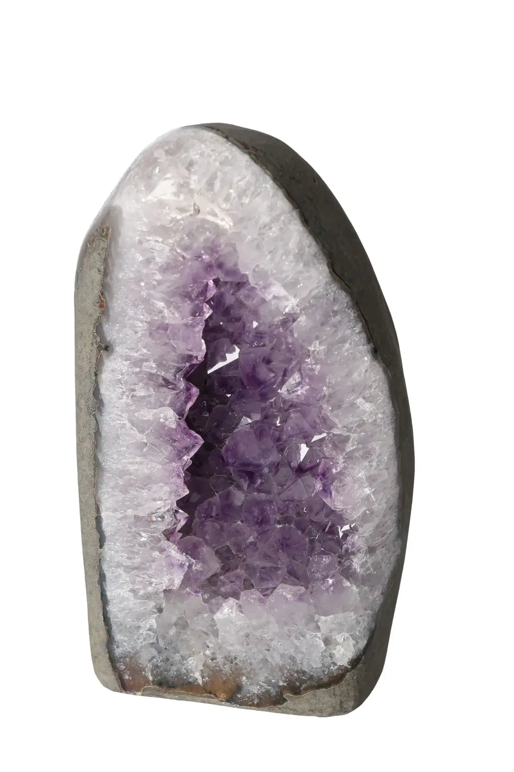 orbitvu|type:image2d