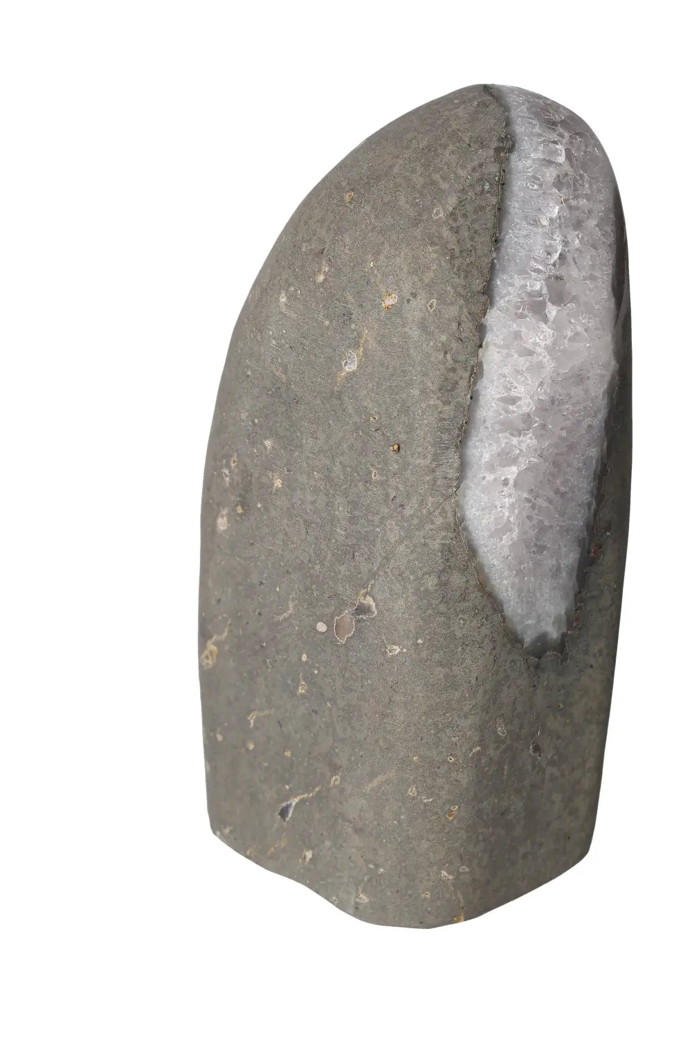 orbitvu|type:image2d