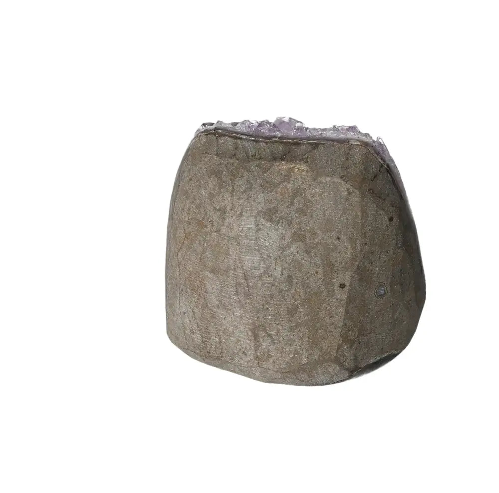 orbitvu|type:image2d