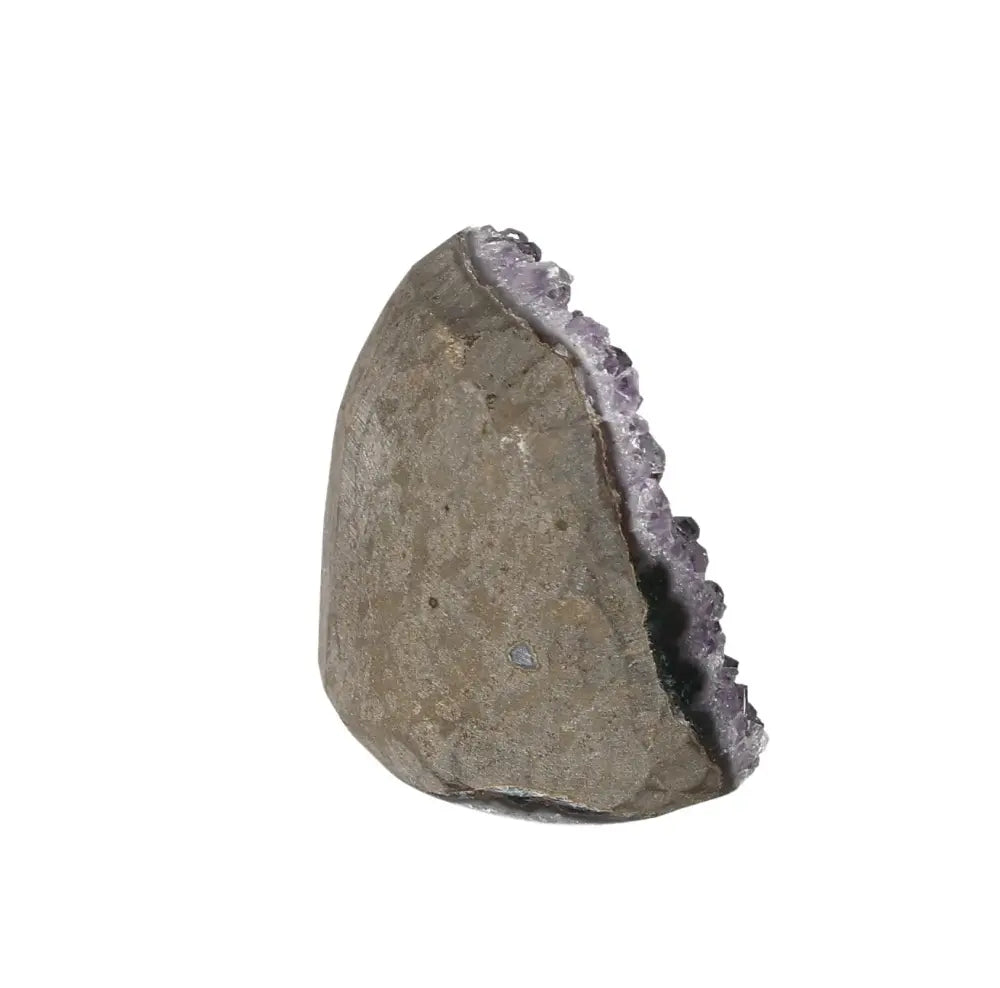 orbitvu|type:image2d