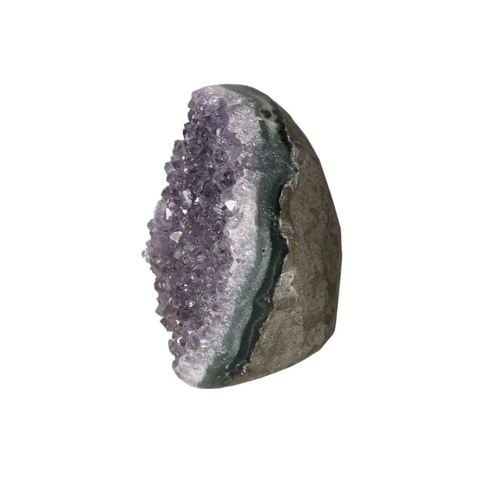 orbitvu|type:image2d