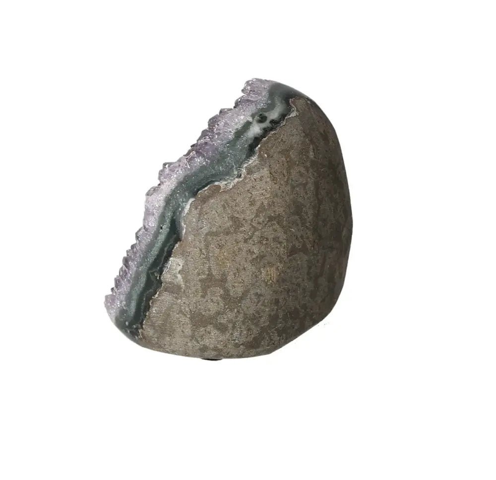 orbitvu|type:image2d