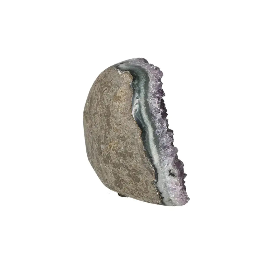 orbitvu|type:image2d