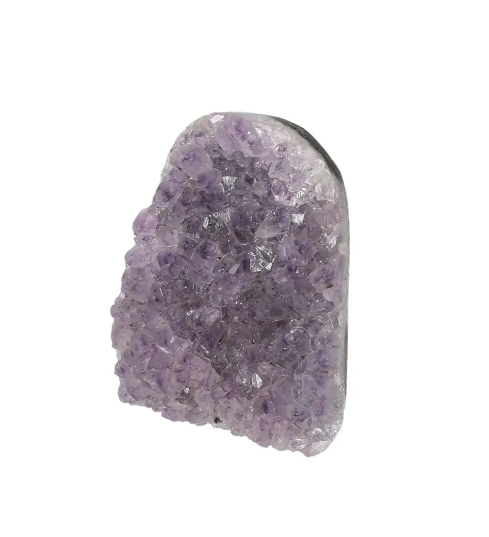 orbitvu|type:image2d