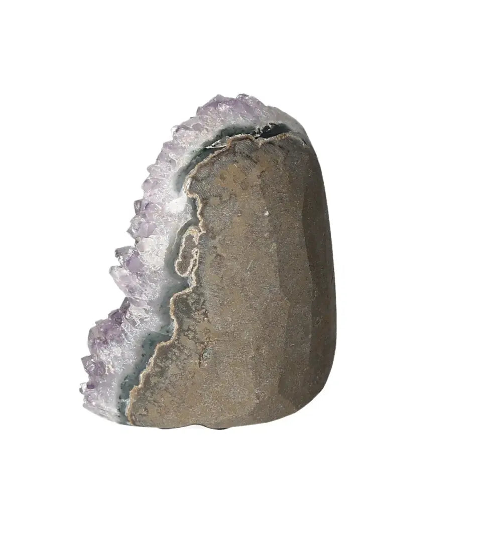 orbitvu|type:image2d