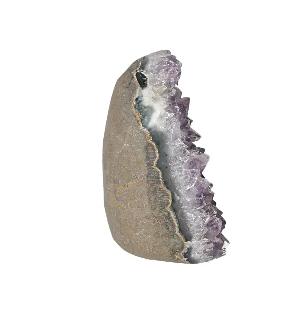 orbitvu|type:image2d