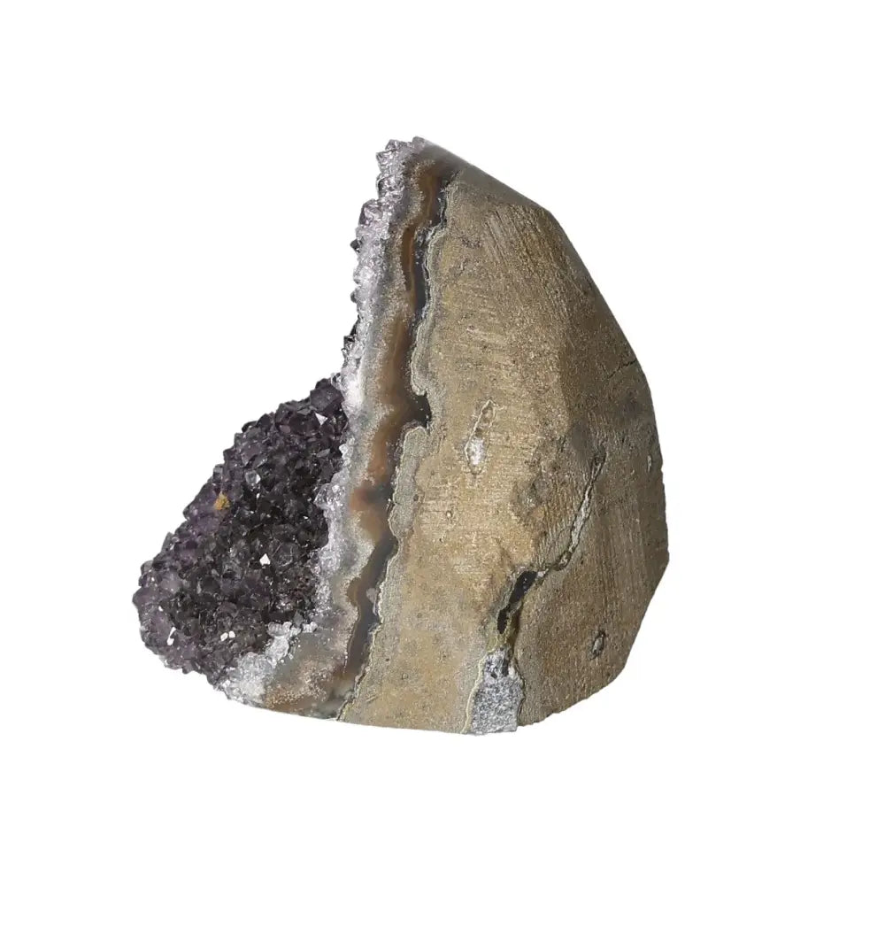 orbitvu|type:image2d