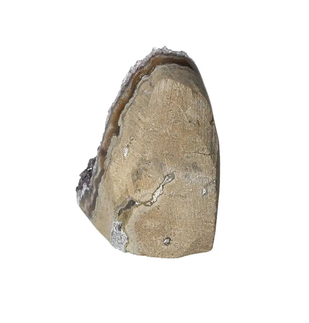 orbitvu|type:image2d