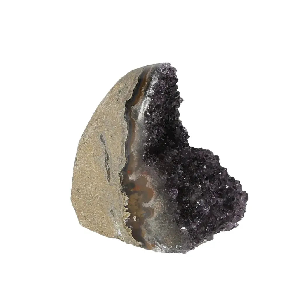 orbitvu|type:image2d