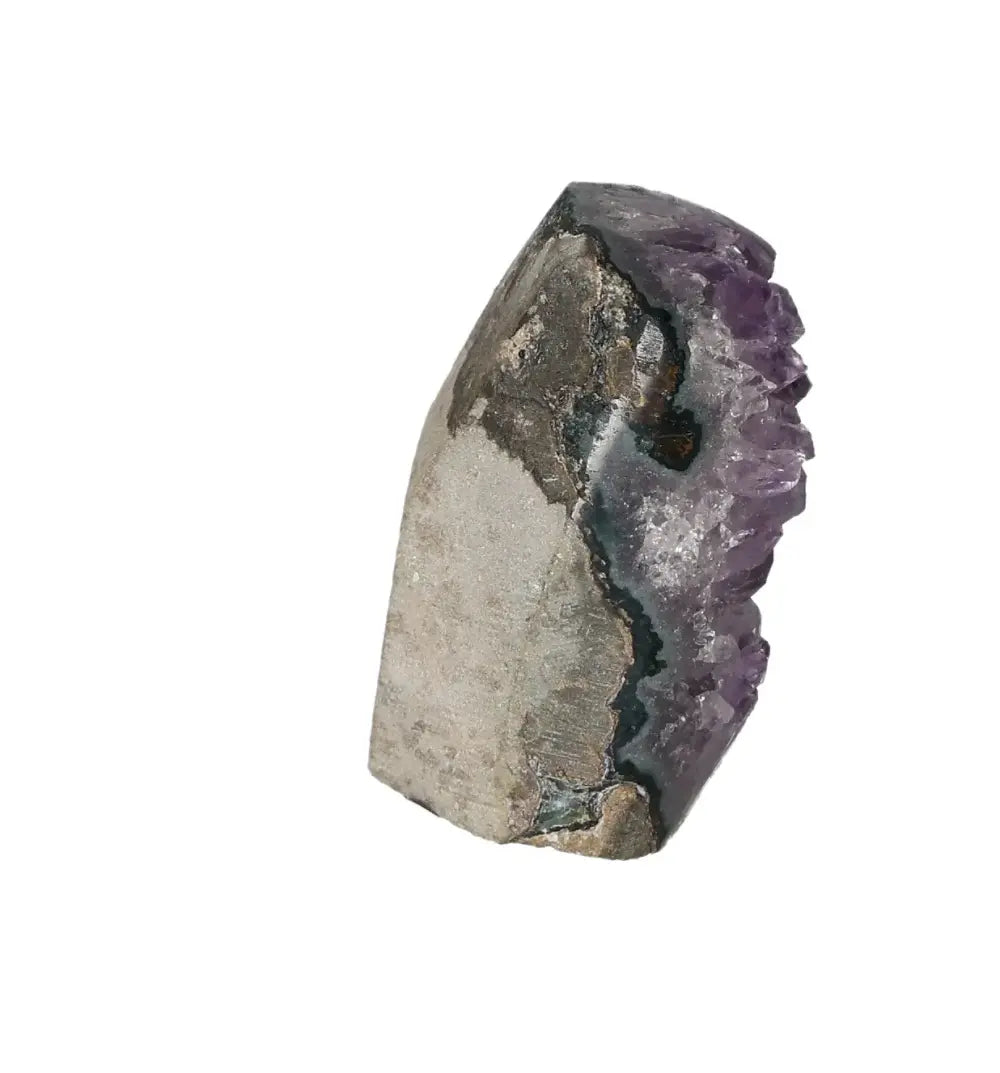 orbitvu|type:image2d