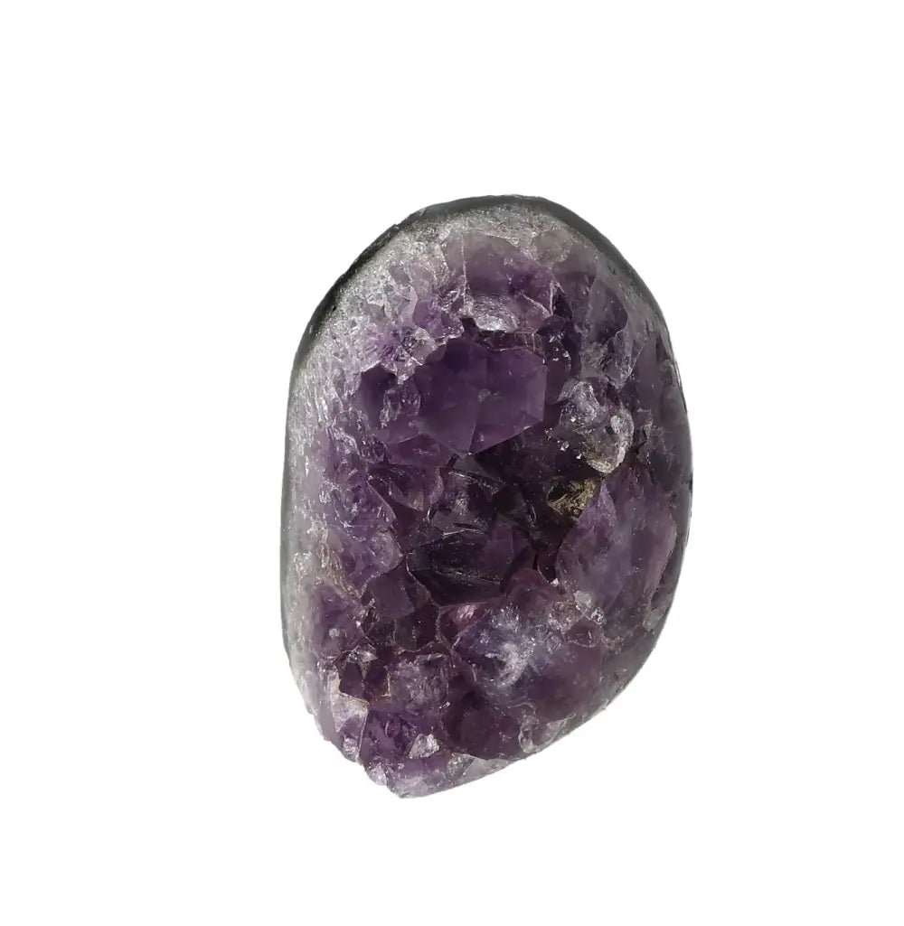 orbitvu|type:image2d