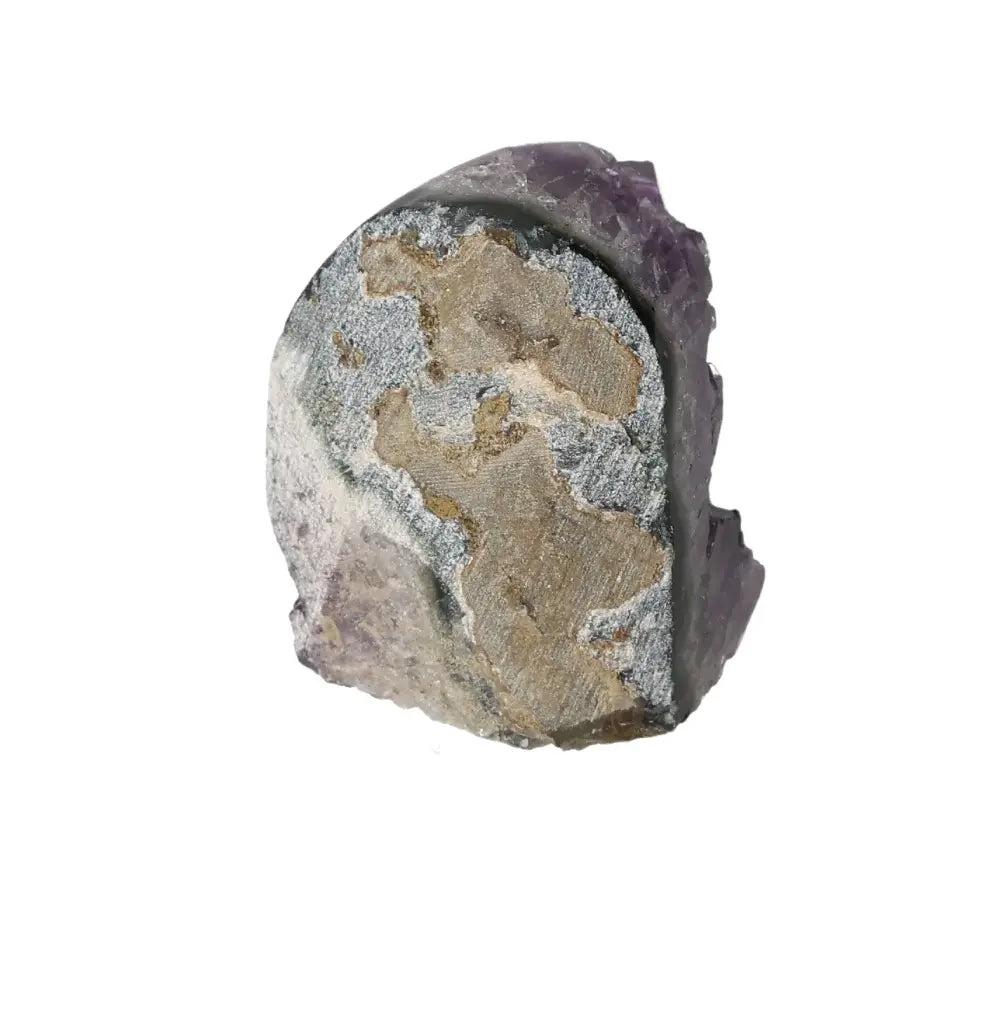 orbitvu|type:image2d