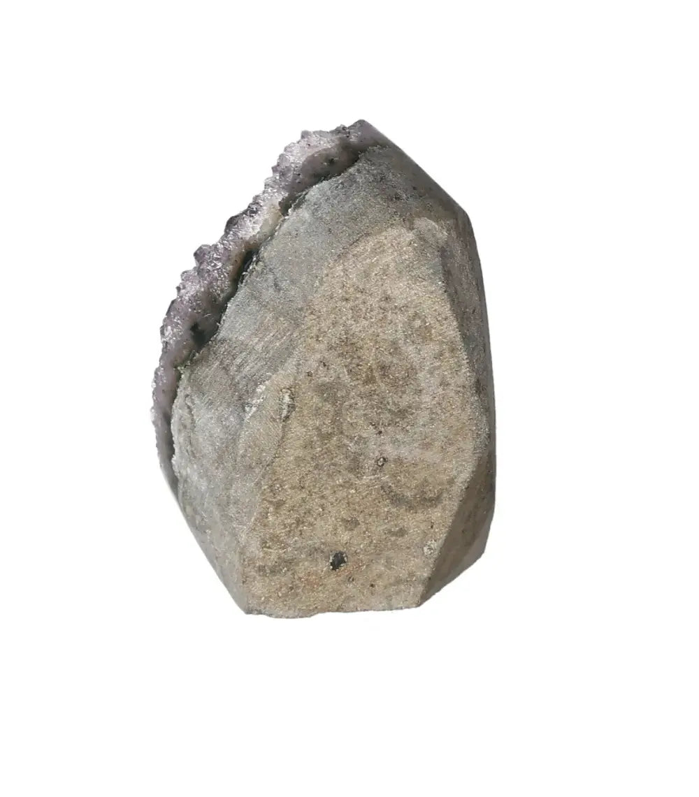 orbitvu|type:image2d