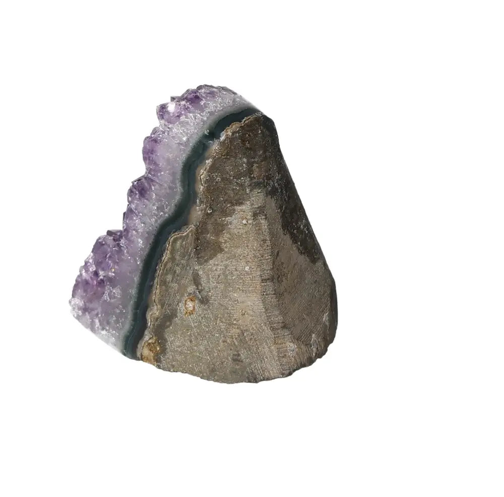 orbitvu|type:image2d