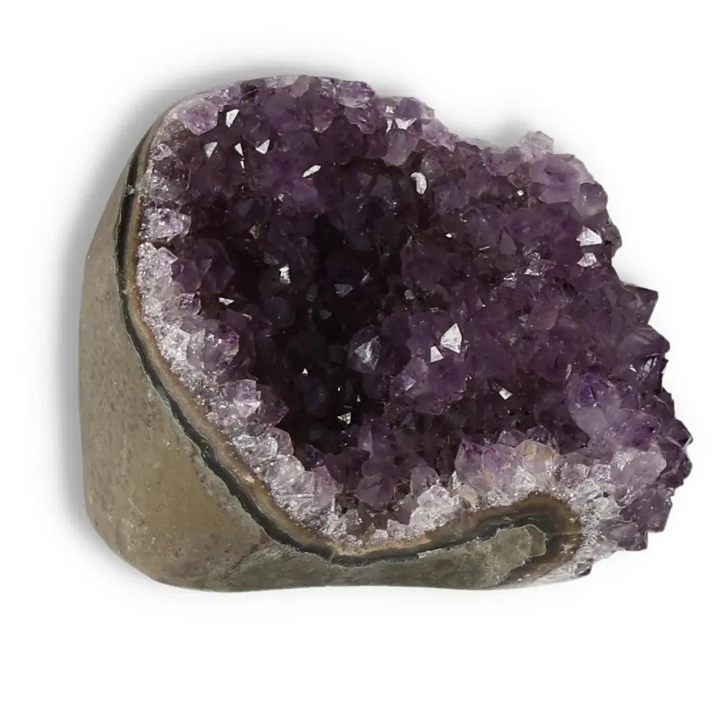 Premium Amethyst cut base geode from Sylvia Crystals, showcasing vibrant purple hues and natural formations for tranquility and stress relief.