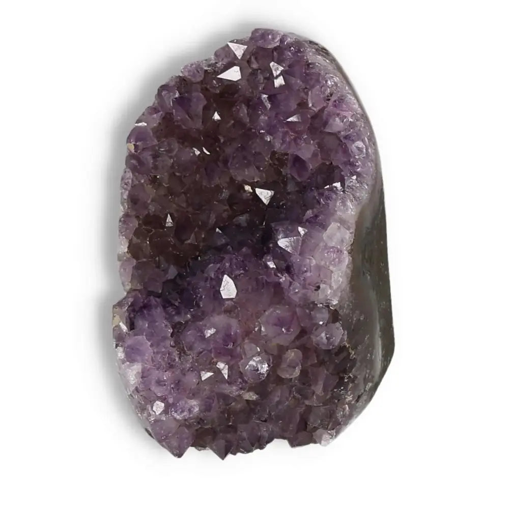 Amethyst cut base geode displaying sparkling purple crystals, offering elegance and tranquility from Sylvia Crystals.