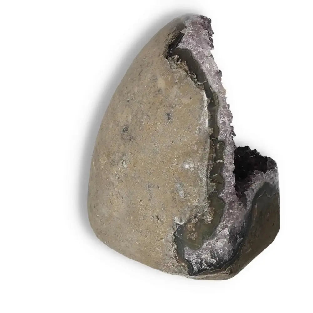 Amethyst cut base geode featuring natural purple crystals, enhancing elegance and spiritual energy from Sylvia Crystals.