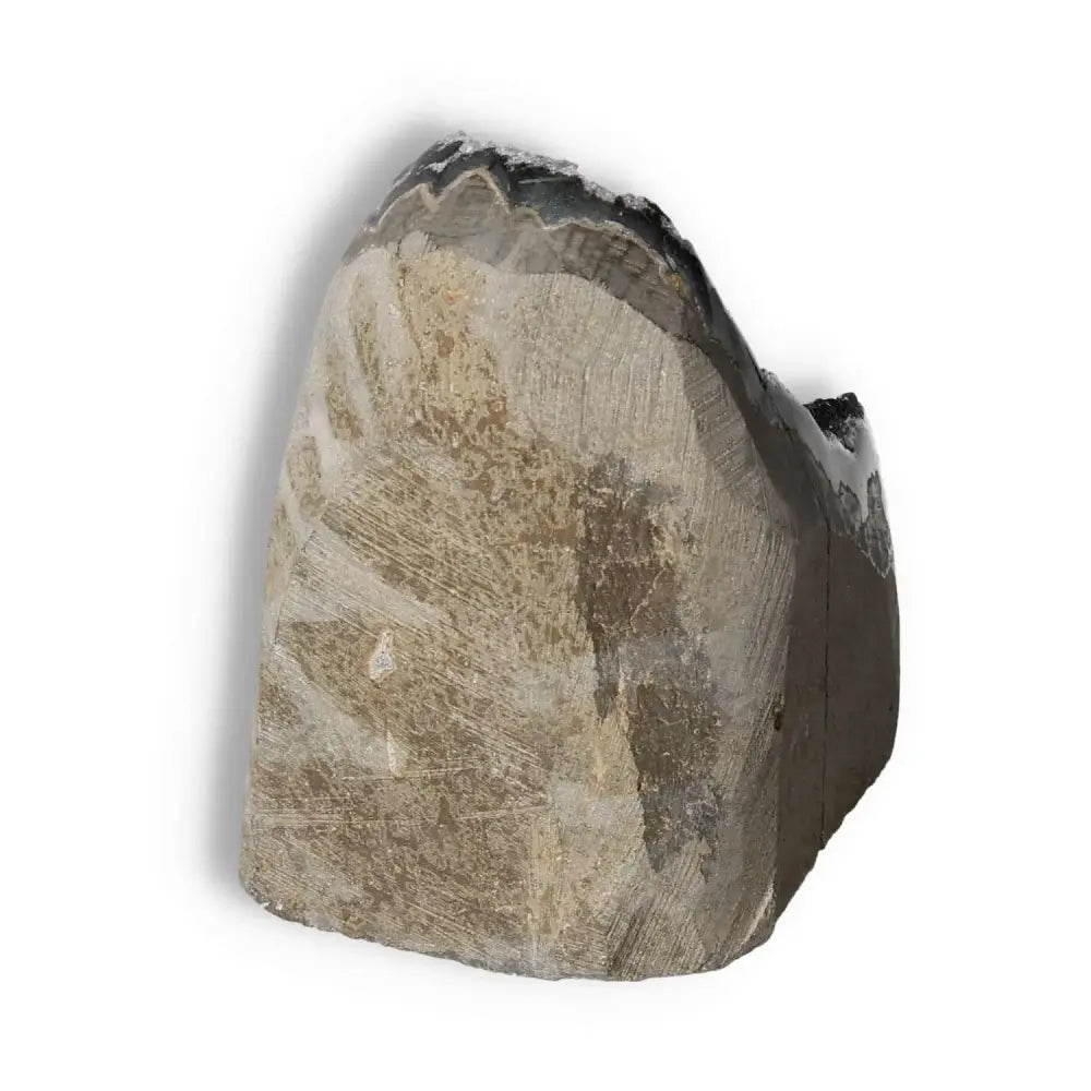 Amethyst cut base geode exhibiting intricate patterns and structure, enhancing decor with serenity and elegance from Sylvia Crystals.