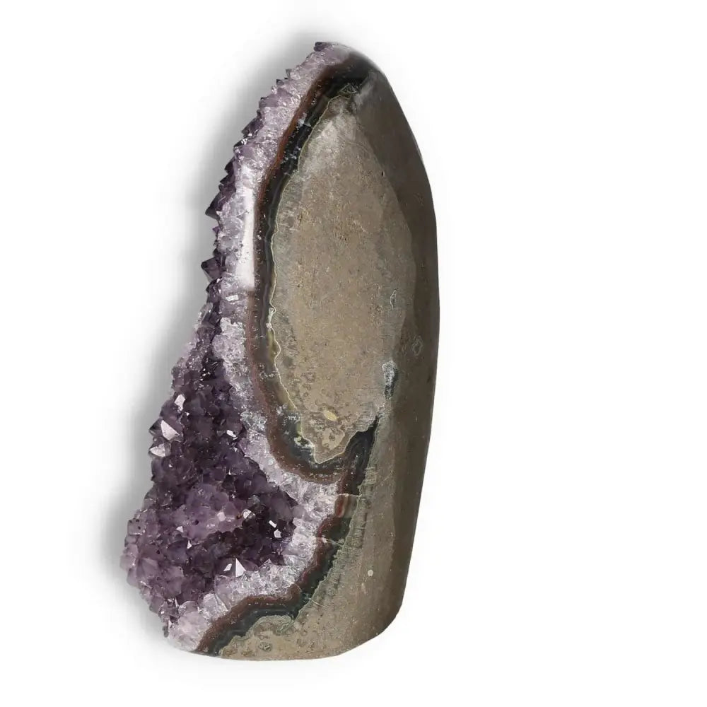 A stunning amethyst cut base geode, showcasing vibrant purple crystals, exclusively from Sylvia Crystals, symbolizing luxury and spirituality.