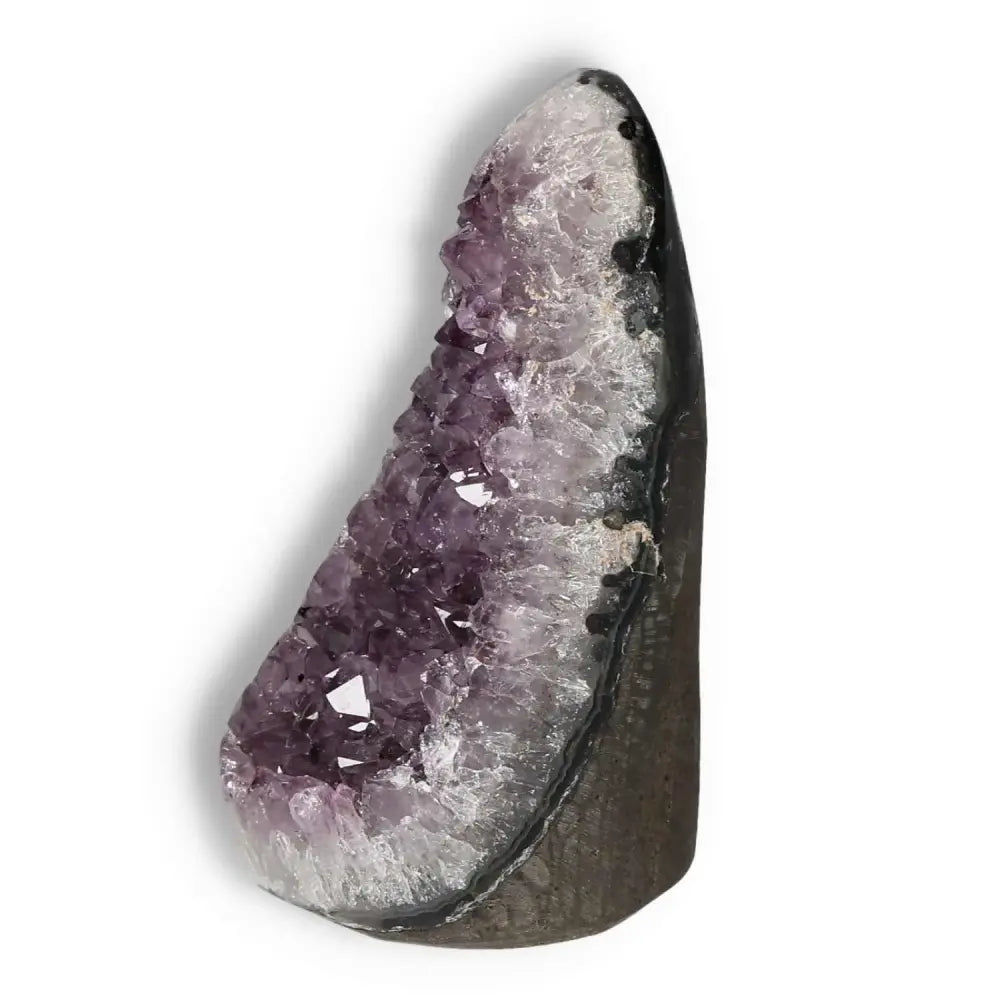 Elegant Amethyst cut base geode from Sylvia Crystals showcasing premium craftsmanship and natural beauty.