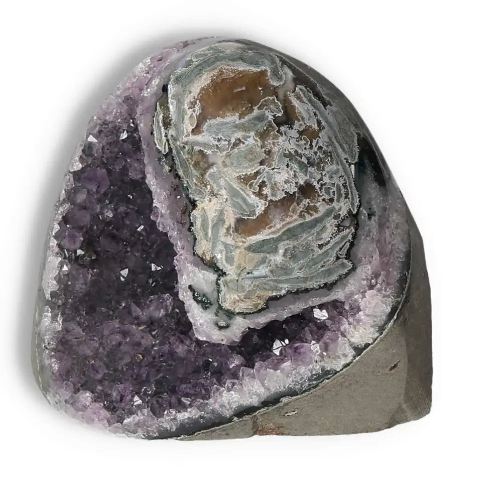 Amethyst cut base geode from Sylvia Crystals, showcasing deep purple hues and crystalline formations, perfect for decor and stress relief.