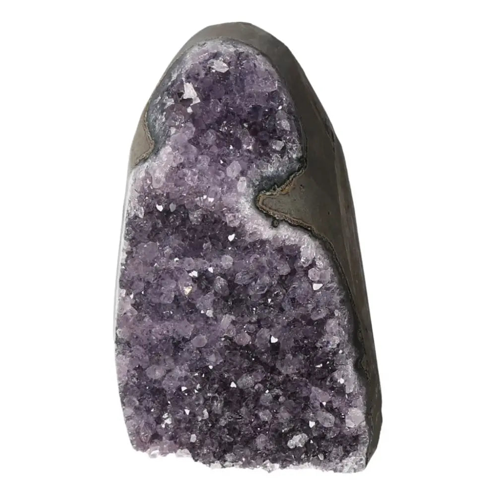 Amethyst cut base geode from Sylvia Crystals showcasing stunning purple crystals, known for stress relief and energy enhancement.