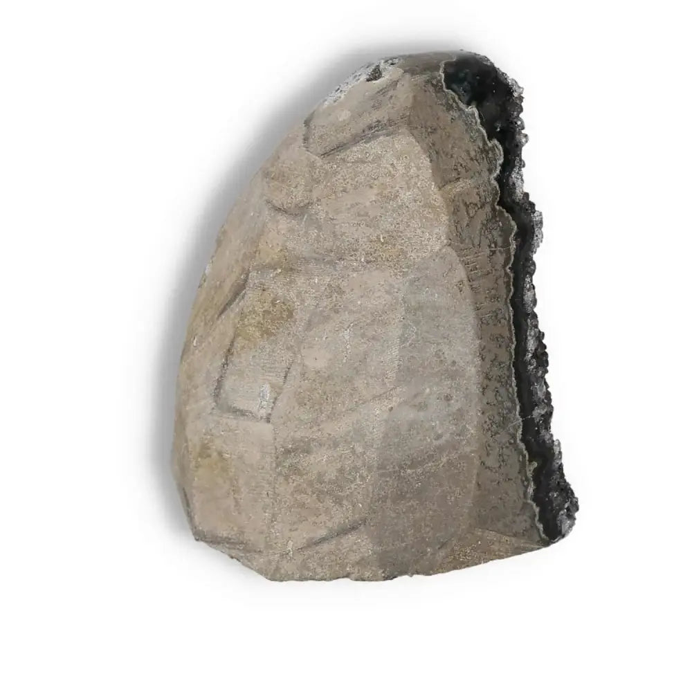 Side view of an Amethyst cut base geode from Sylvia Crystals, showcasing its raw exterior and sparkling interior.