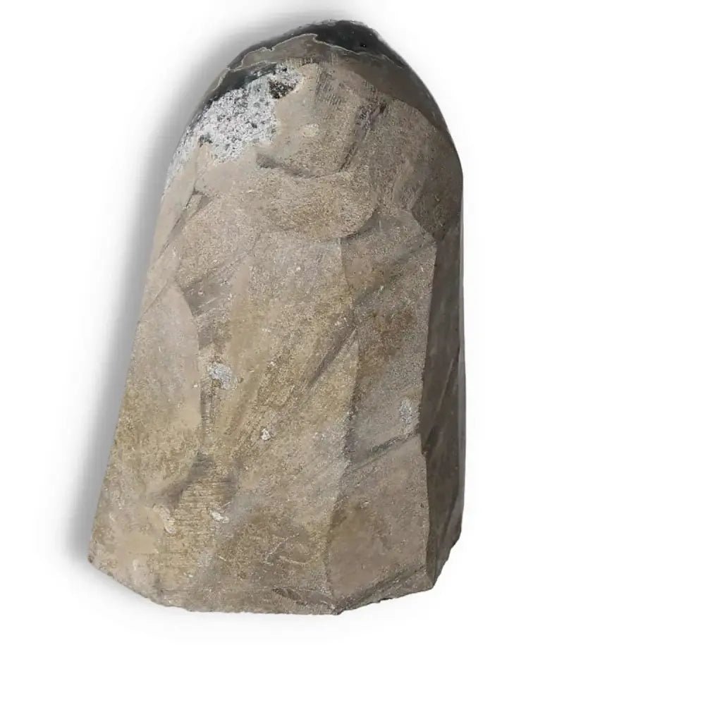 Smooth stone geode side view with textured surface.