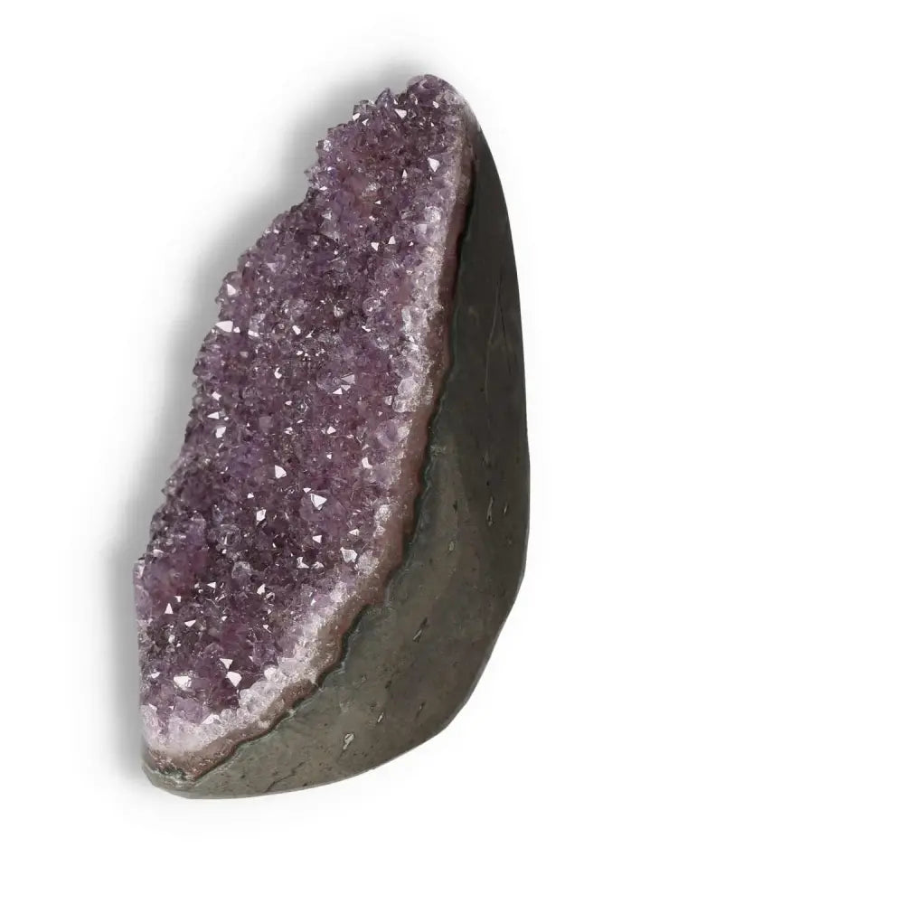 Elegant Amethyst cut base geode from Sylvia Crystals, showcasing natural purple hues and stunning crystal formations.