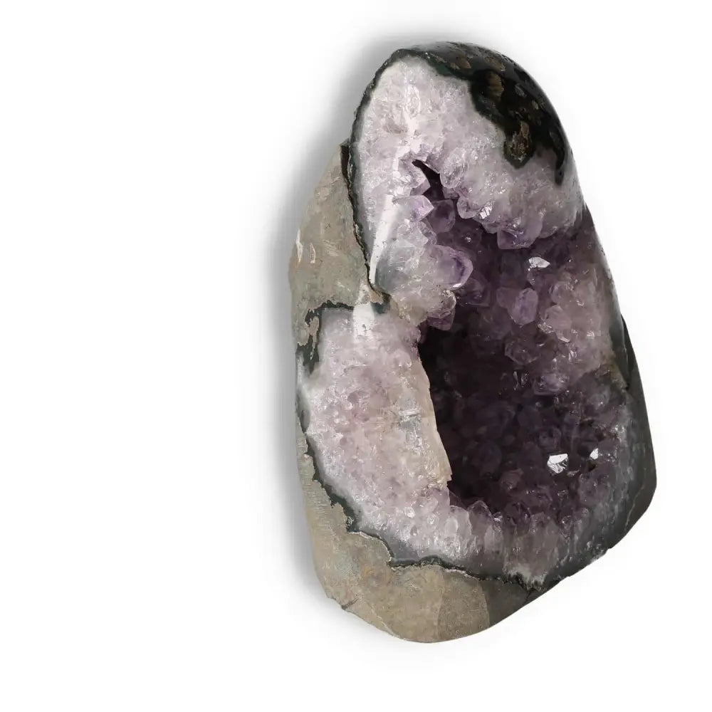 Amethyst cut base geode from Sylvia Crystals, showcasing premium quality and natural beauty for stress relief and mental clarity.