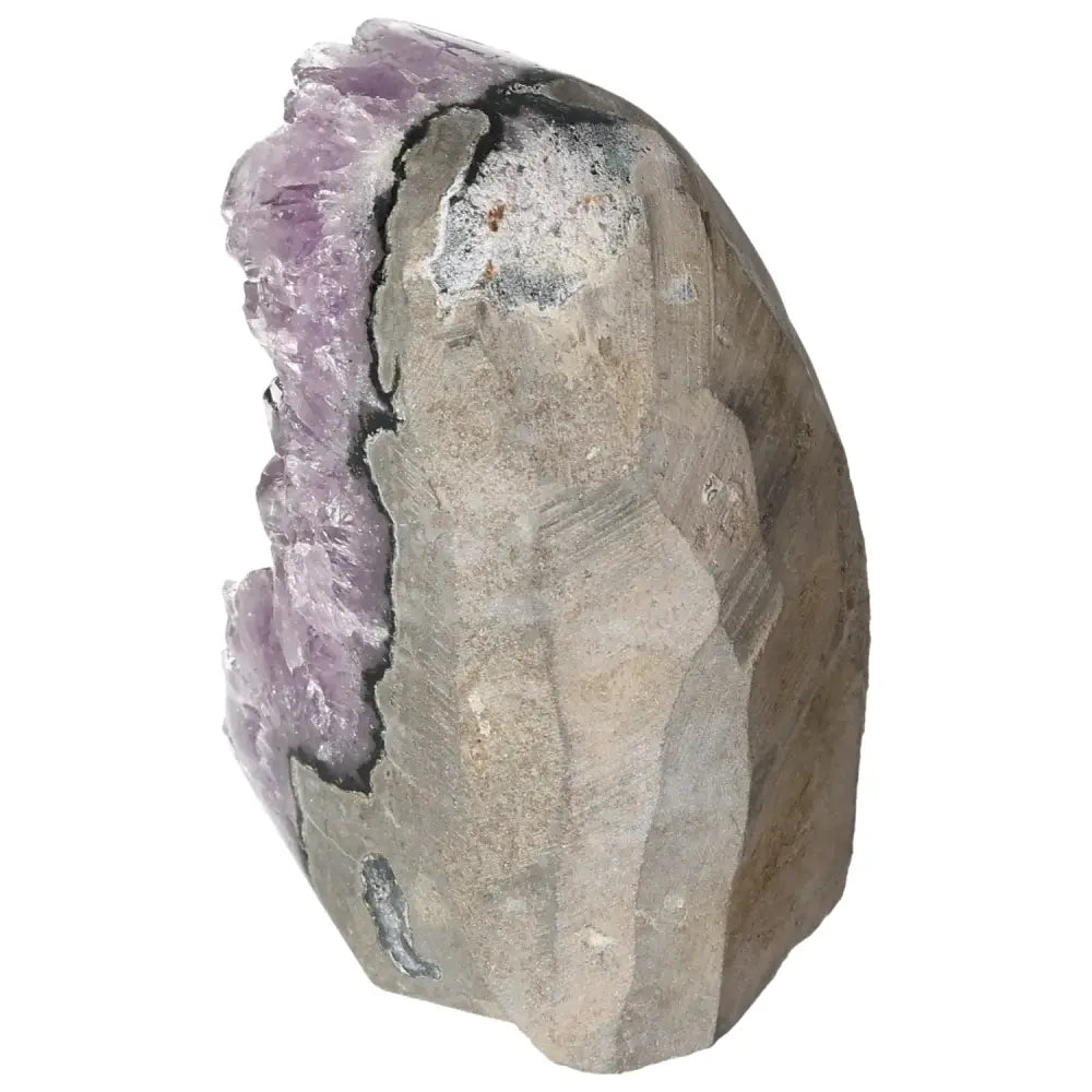 Amethyst Cut Base Geode from Sylvia Crystals showcasing natural harmony and elegance of purple crystals.