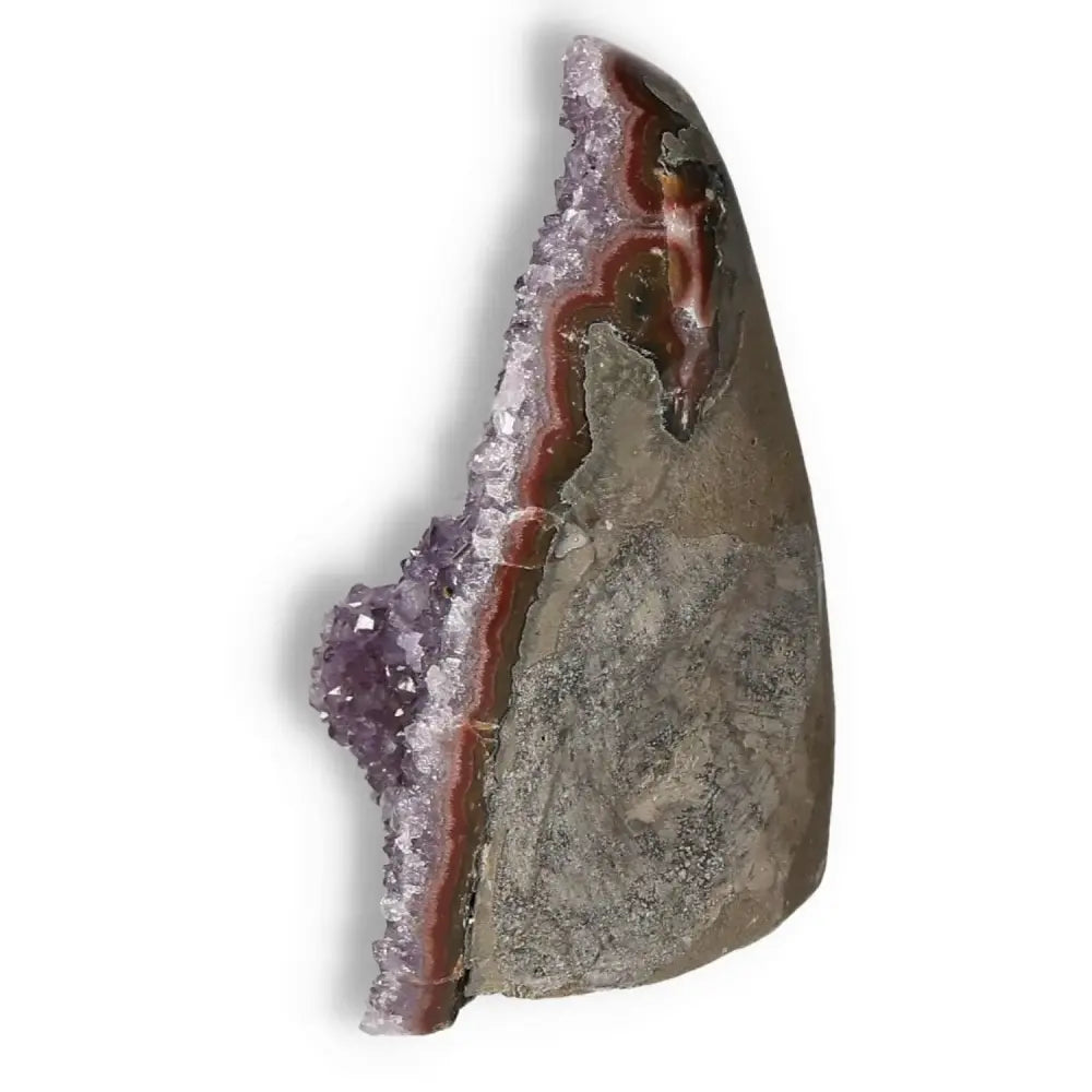 Amethyst cut base geode with deep purple hues and intricate crystalline structure, offered by Sylvia Crystals for calming energy.