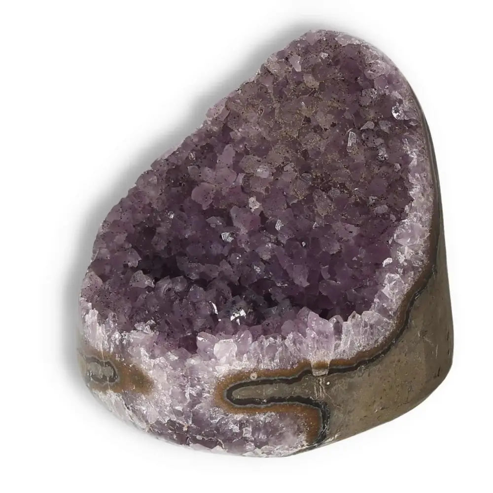 Premium Amethyst cut base geode with radiant purple crystals by Sylvia Crystals, known for stress relief and emotional stability.