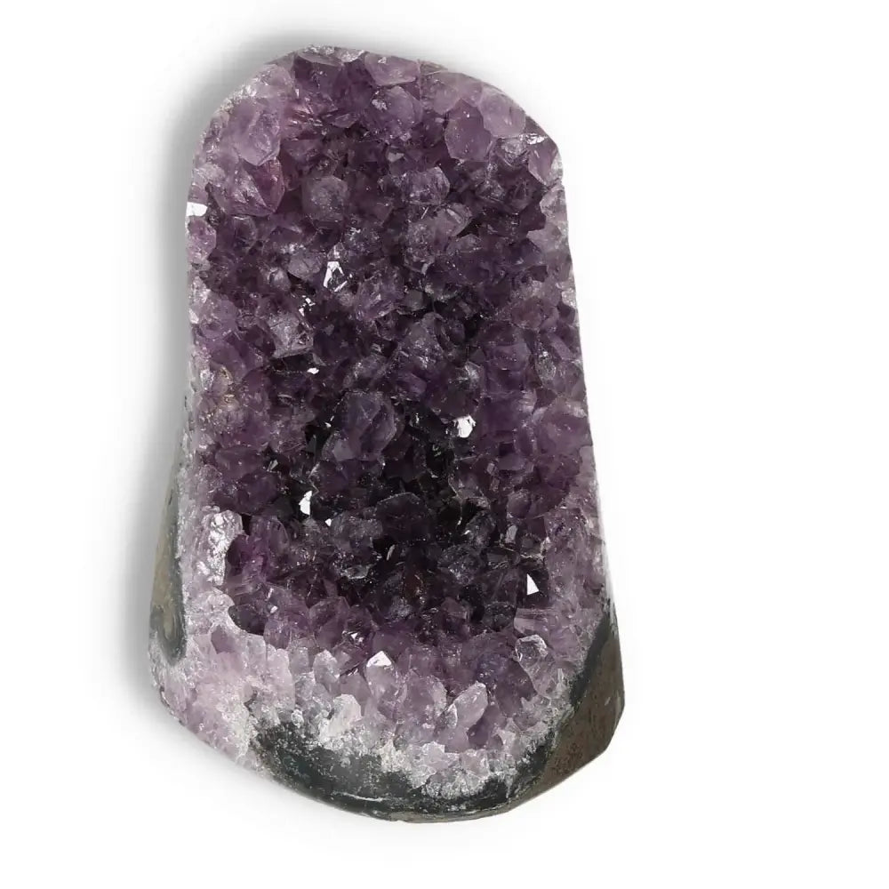 Premium Amethyst cut base geode from Sylvia Crystals, exquisite handpicked piece known for stress relief and energy enhancement.