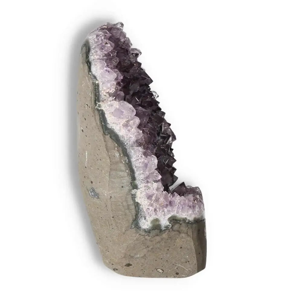 Premium Amethyst cut base geode from Sylvia Crystals, showcasing natural beauty, stress reduction, and energy-boosting benefits.