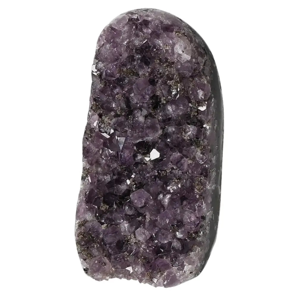 orbitvu|type:image2d