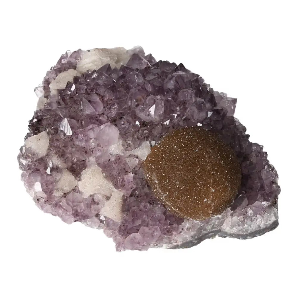 orbitvu|type:ORBITVU 360|https://orbitvu.co/share/Uvj6FBpSR6WFzKNBYUovAL/6561534/360/iframe