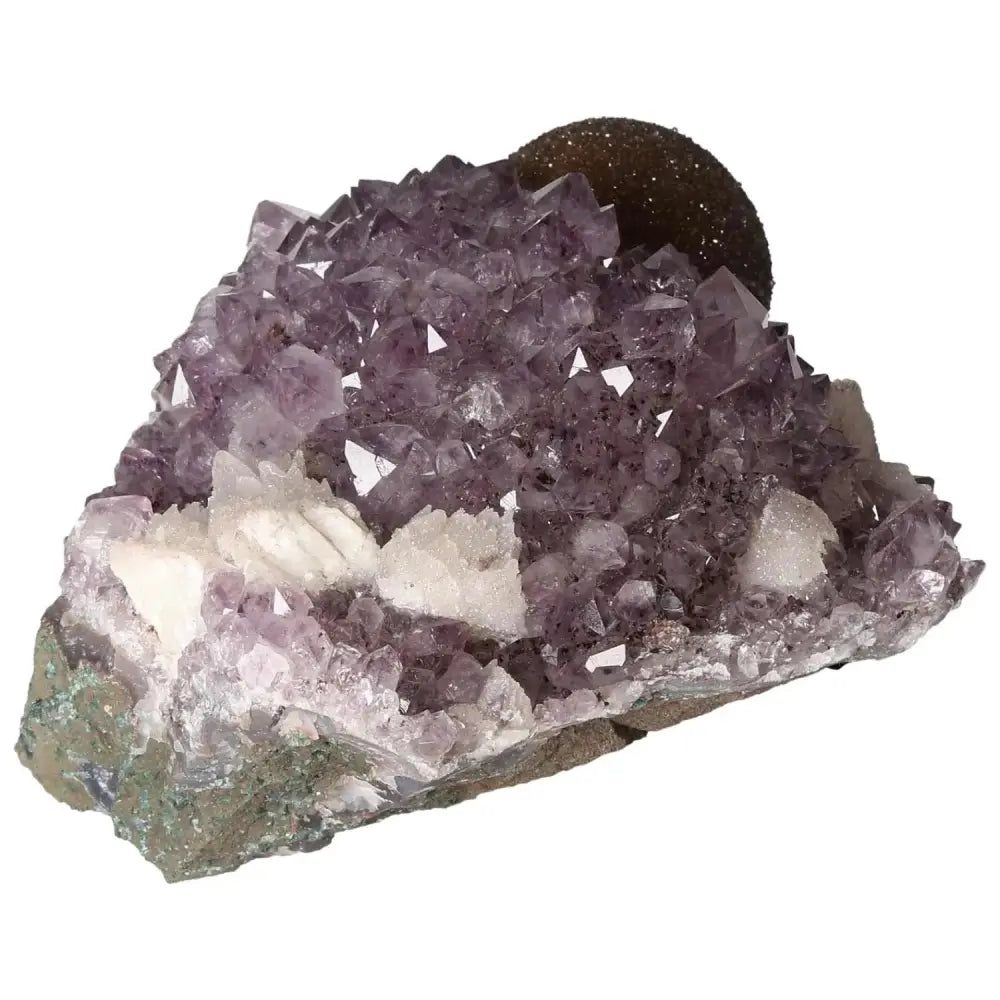 orbitvu|type:image2d