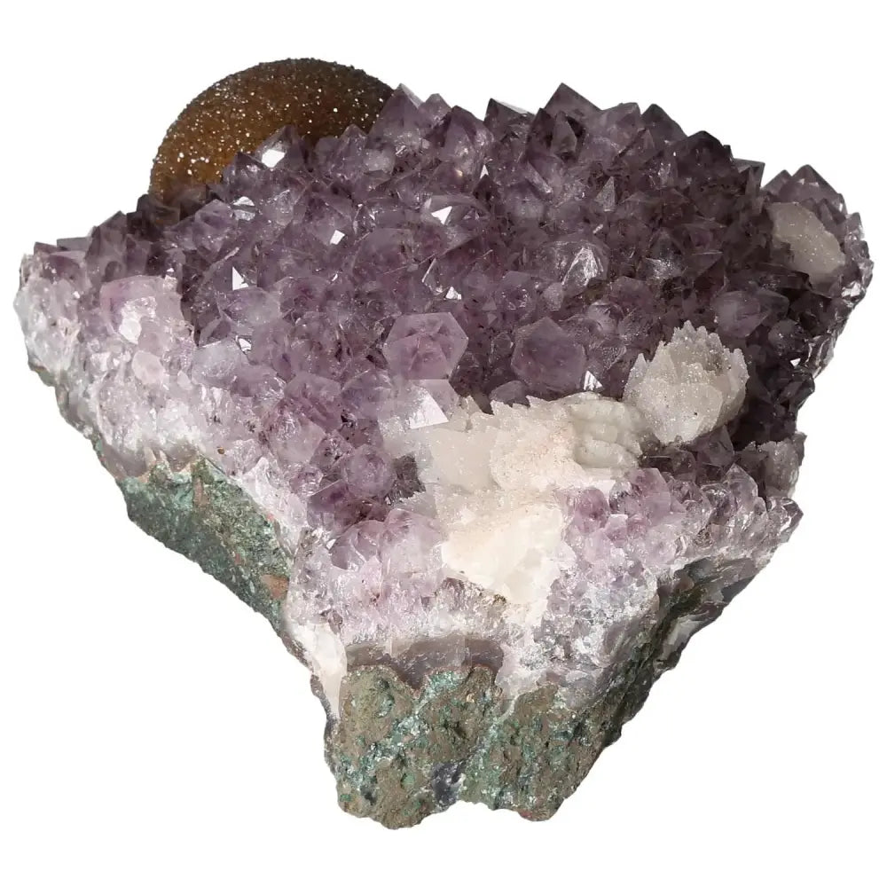 orbitvu|type:image2d