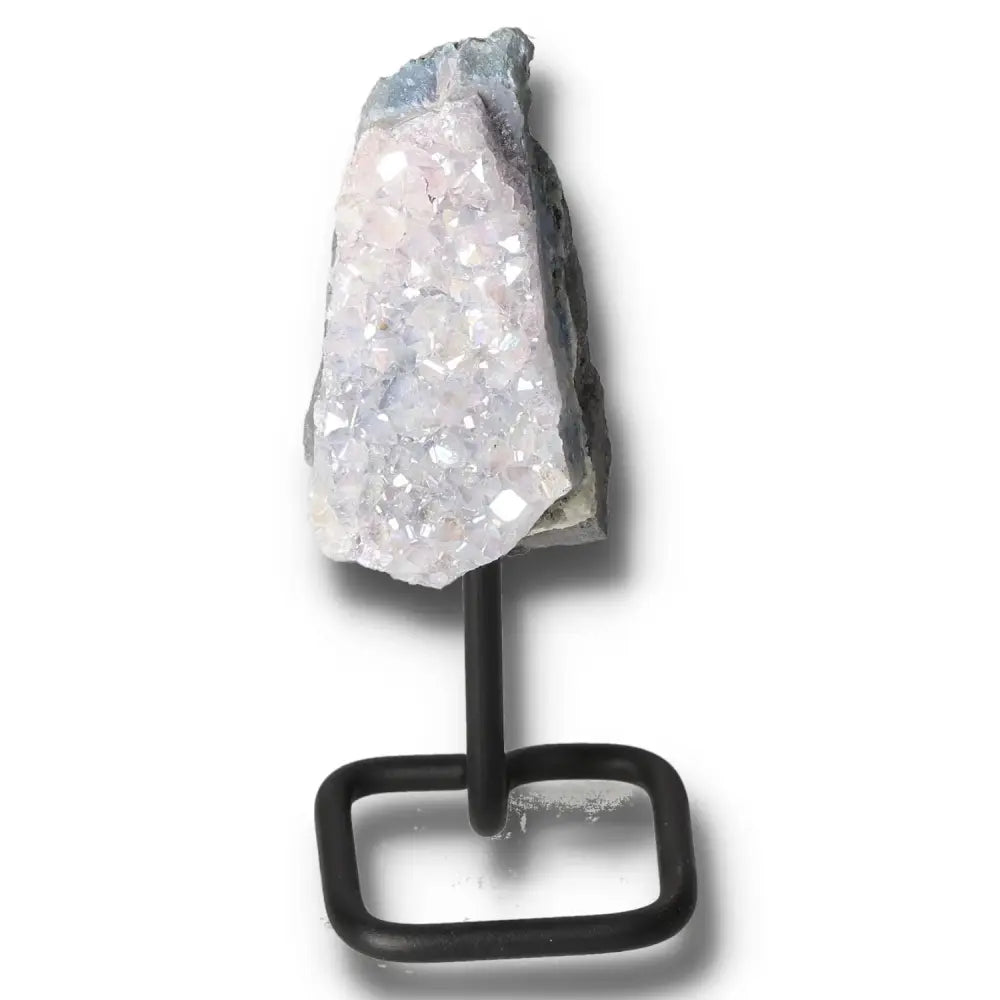 orbitvu|type:image2d