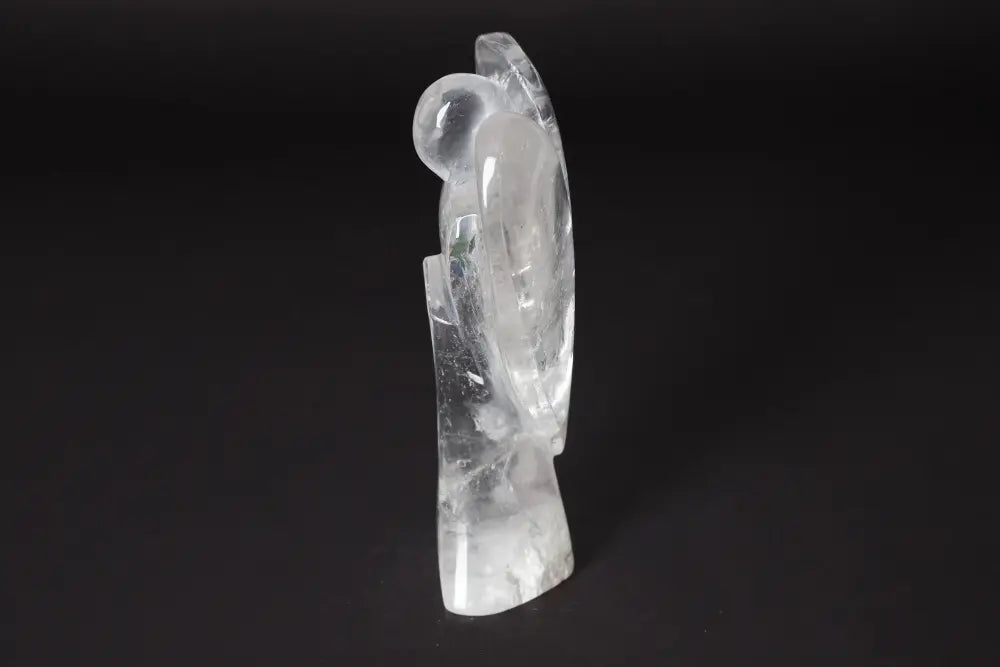 orbitvu|type:image2d